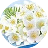omino_bianco_muschio_bianco